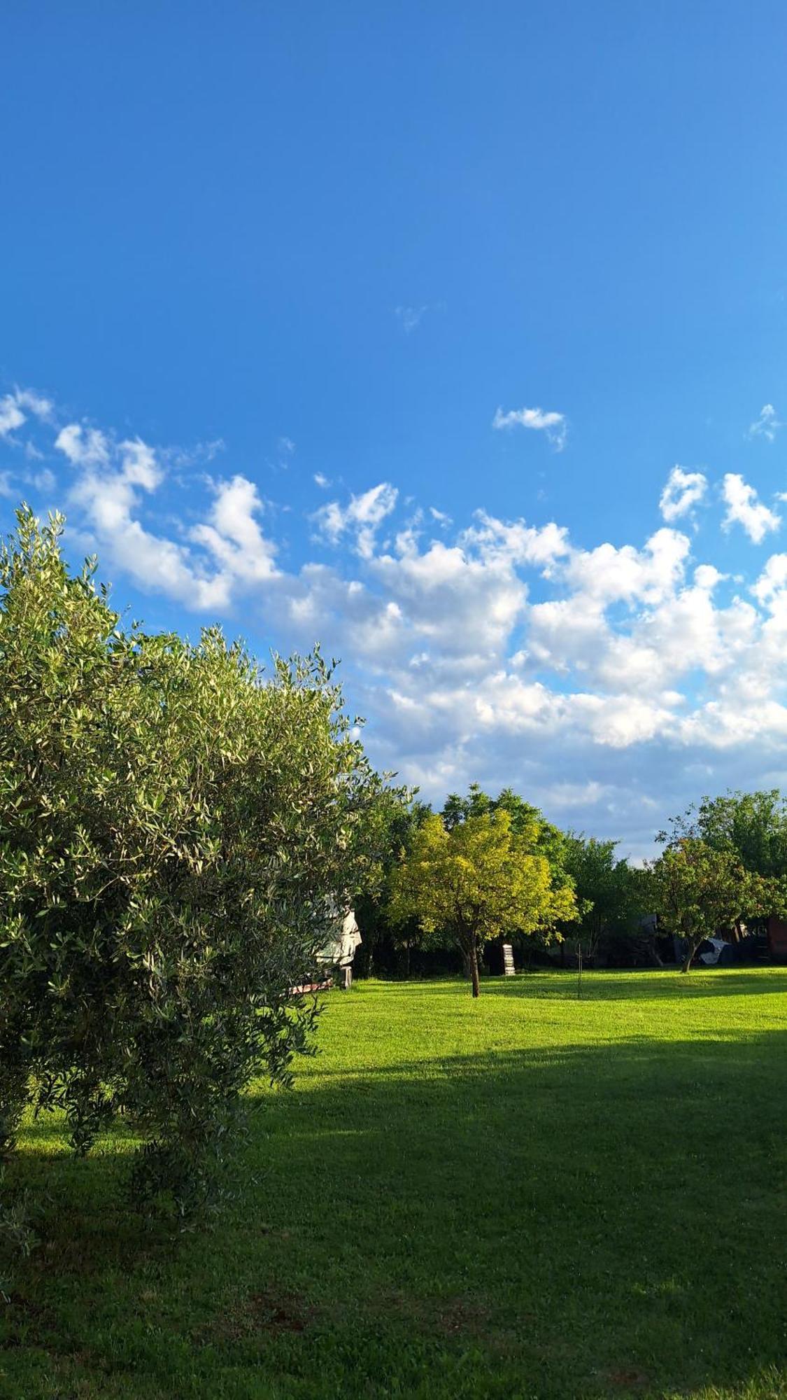Apartman Doli Nedeščina 외부 사진